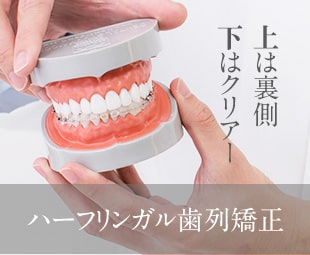 ハーフリンガル